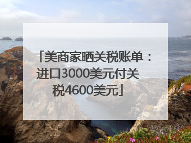 美商家晒关税账单：进口3000美元付关税4600美元