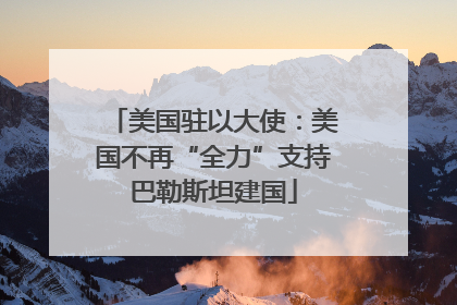 美国驻以大使：美国不再“全力”支持巴勒斯坦建国