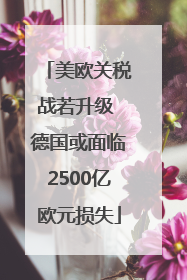 美欧关税战若升级 德国或面临2500亿欧元损失