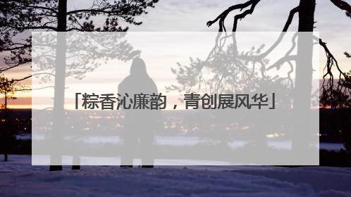 粽香沁廉韵，青创展风华