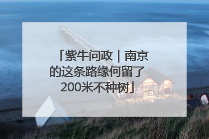 紫牛问政｜南京的这条路缘何留了200米不种树