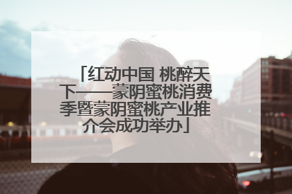 红动中国 桃醉天下——蒙阴蜜桃消费季暨蒙阴蜜桃产业推介会成功举办