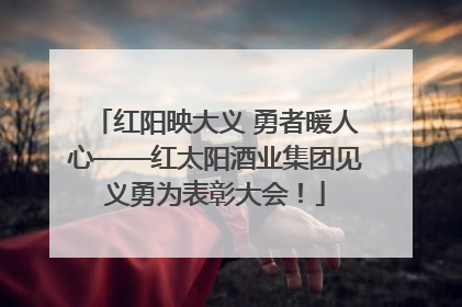 红阳映大义 勇者暖人心——红太阳酒业集团见义勇为表彰大会！