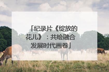 纪录片《绽放的花儿》：共绘融合发展时代画卷