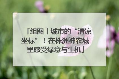 组图丨城市的“清凉坐标”！在株洲神农城里感受绿意与生机