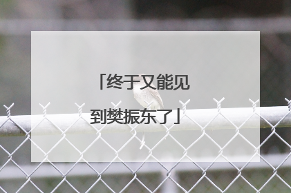 终于又能见到樊振东了