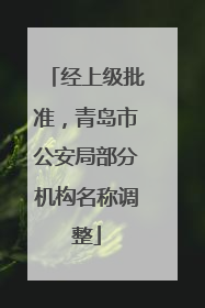 经上级批准，青岛市公安局部分机构名称调整