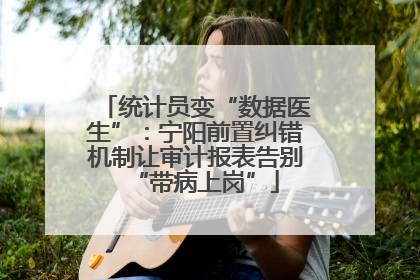 统计员变“数据医生”：宁阳前置纠错机制让审计报表告别“带病上岗”