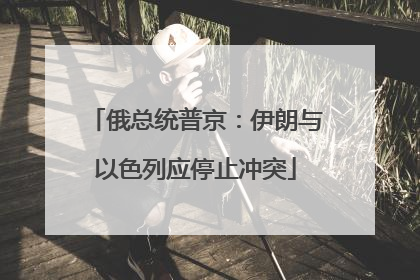 俄总统普京：伊朗与以色列应停止冲突
