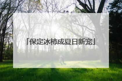 保定冰柿成夏日新宠