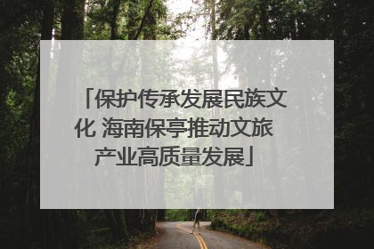 保护传承发展民族文化 海南保亭推动文旅产业高质量发展
