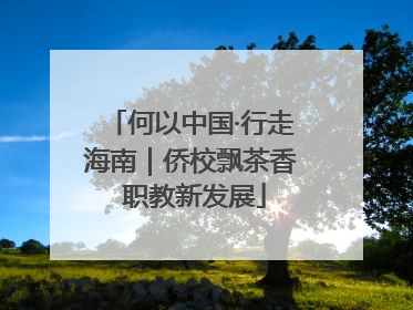 何以中国·行走海南｜侨校飘茶香 职教新发展