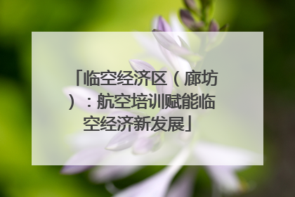 临空经济区（廊坊）：航空培训赋能临空经济新发展