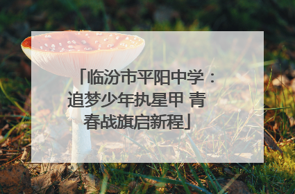 临汾市平阳中学：追梦少年执星甲 青春战旗启新程