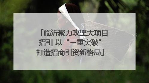 临沂聚力攻坚大项目招引 以“三重突破”打造招商引资新格局