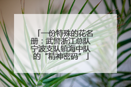 一份特殊的花名册：武警浙江总队宁波支队镇海中队的“精神密码”
