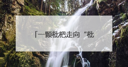 一颗枇杷走向“枇杷+” 山海资源成为“聚宝盆”