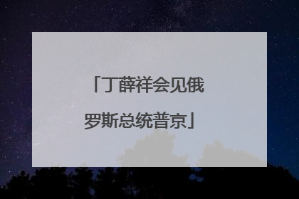 丁薛祥会见俄罗斯总统普京