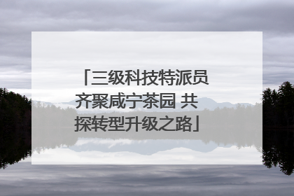 三级科技特派员齐聚咸宁茶园 共探转型升级之路