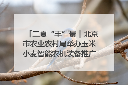 三夏“丰”景｜北京市农业农村局举办玉米小麦智能农机装备推广“田间日”活动
