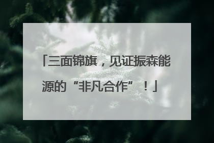 三面锦旗，见证振森能源的“非凡合作”！
