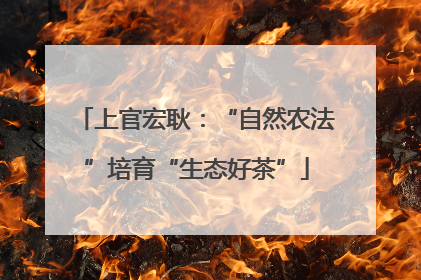 上官宏耿：“自然农法”培育“生态好茶”