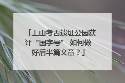上山考古遗址公园获评“国字号” 如何做好后半篇文章？