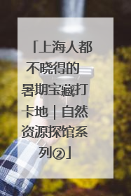 上海人都不晓得的 暑期宝藏打卡地｜自然资源探馆系列②
