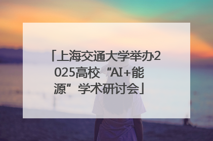 上海交通大学举办2025高校“AI+能源”学术研讨会