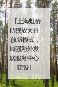 上海虹桥持续放大开放新模式，加强海外发展服务中心建设
