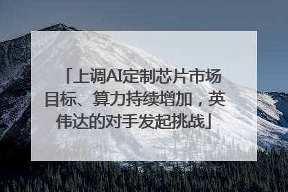 上调AI定制芯片市场目标、算力持续增加，英伟达的对手发起挑战