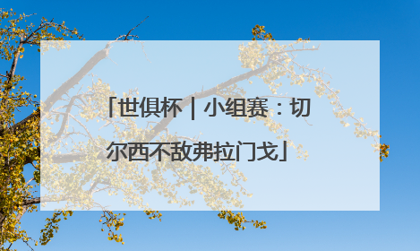 世俱杯｜小组赛：切尔西不敌弗拉门戈