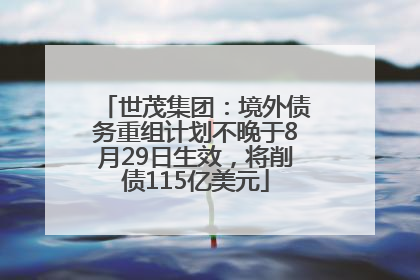 世茂集团：境外债务重组计划不晚于8月29日生效，将削债115亿美元