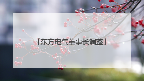 东方电气董事长调整