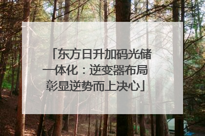 东方日升加码光储一体化：逆变器布局彰显逆势而上决心