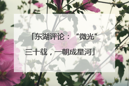 东湖评论：“微光”三十载，一朝成星河