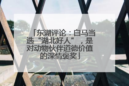 东湖评论：白马当选“湖北好人”，是对动物伙伴道德价值的深情褒奖
