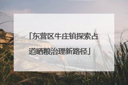 东营区牛庄镇探索占道晒粮治理新路径