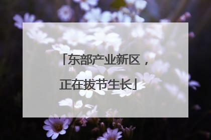东部产业新区，正在拔节生长