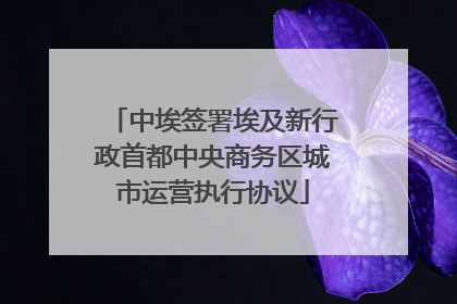 中埃签署埃及新行政首都中央商务区城市运营执行协议