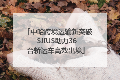 中哈跨境运输新突破 SJIUS助力36台轿运车高效出境