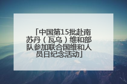 中国第15批赴南苏丹（瓦乌）维和部队参加联合国维和人员日纪念活动