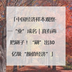 中国经济样本观察·一“业”成名｜真有两把刷子！“刷”出30亿级“颜值经济”