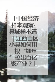 中国经济样本观察·县域样本篇｜江西山区小县如何用一根“细丝”拉出百亿级产业？