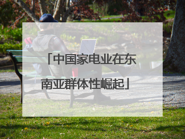 中国家电业在东南亚群体性崛起