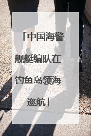 中国海警舰艇编队在钓鱼岛领海巡航