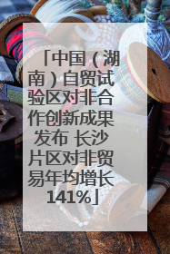 中国（湖南）自贸试验区对非合作创新成果发布 长沙片区对非贸易年均增长141%