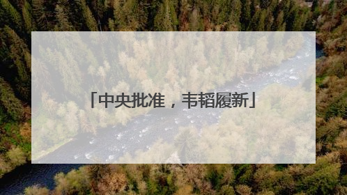 中央批准，韦韬履新