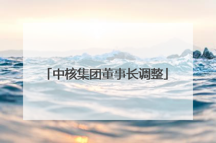 中核集团董事长调整