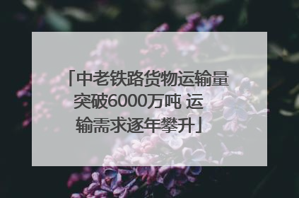 中老铁路货物运输量突破6000万吨 运输需求逐年攀升